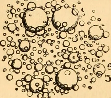 An illustration from The microscope : its history, construction, and application, being a familiar introduction to the use of the instrument, and the study of microscopial science / By Jabez Hogg ... with upwards of five hundred engravings and coloured illustrations by Tuffen West., 1867, leaf 734
