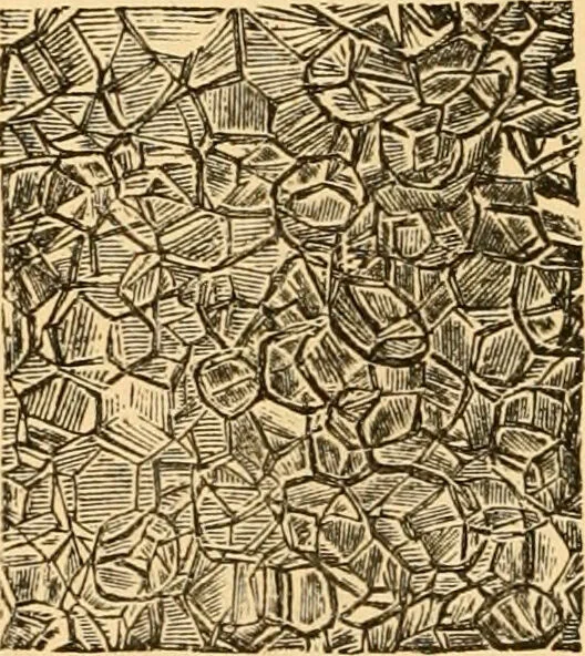 An illustration from The microscope : its history, construction, and application, being a familiar introduction to the use of the instrument, and the study of microscopial science / By Jabez Hogg ... with upwards of five hundred engravings and coloured illustrations by Tuffen West., 1867, leaf 742