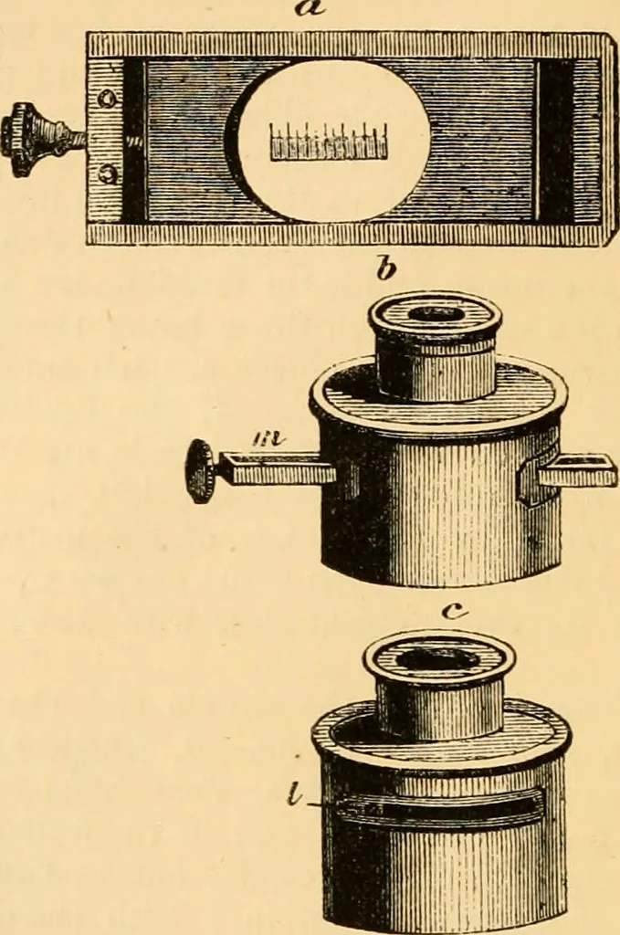 An illustration from The microscope : its history, construction, and application, being a familiar introduction to the use of the instrument, and the study of microscopial science / By Jabez Hogg ... with upwards of five hundred engravings and coloured illustrations by Tuffen West., 1867, leaf 78