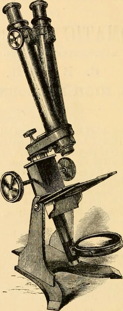An illustration from The microscope : its history, construction, and application, being a familiar introduction to the use of the instrument, and the study of microscopial science / By Jabez Hogg ... with upwards of five hundred engravings and coloured illustrations by Tuffen West., 1867, leaf 796