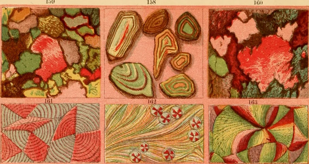 An illustration from The microscope : its history, construction, and application, being a familiar introduction to the use of the instrument, and the study of microscopial science / By Jabez Hogg ... with upwards of five hundred engravings and coloured illustrations by Tuffen West., 1867, leaf 8