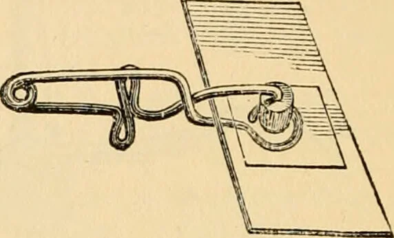 An illustration from The microscope : its history, construction, and application, being a familiar introduction to the use of the instrument, and the study of microscopial science / By Jabez Hogg ... with upwards of five hundred engravings and coloured illustrations by Tuffen West., 1867, leaf 806