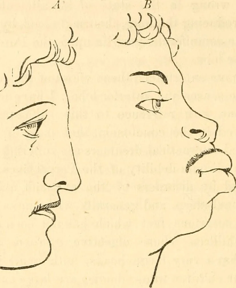 An illustration from The mysteries of human nature explained by a new system of nervous physiology : to which is added, a review of the errors of spiritualism, and instructions for developing or resisting the influence by which subjects and mediums are made / by J. Stanley Grimes., 1860, leaf 294
