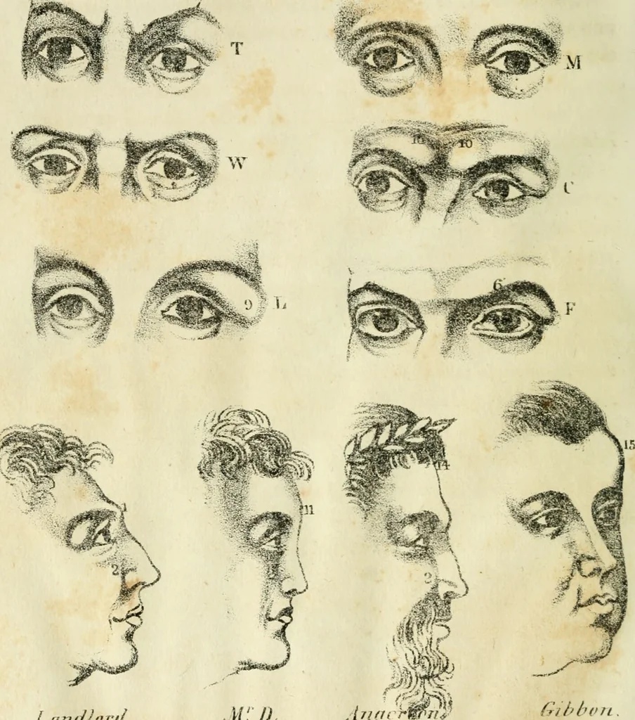 An illustration from A new system of phrenology / by J. Stanley Grimes., 1839, leaf 124