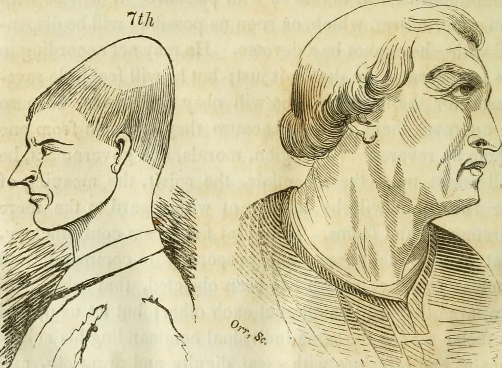 An illustration from A new system of phrenology / by J. Stanley Grimes., 1839, leaf 274