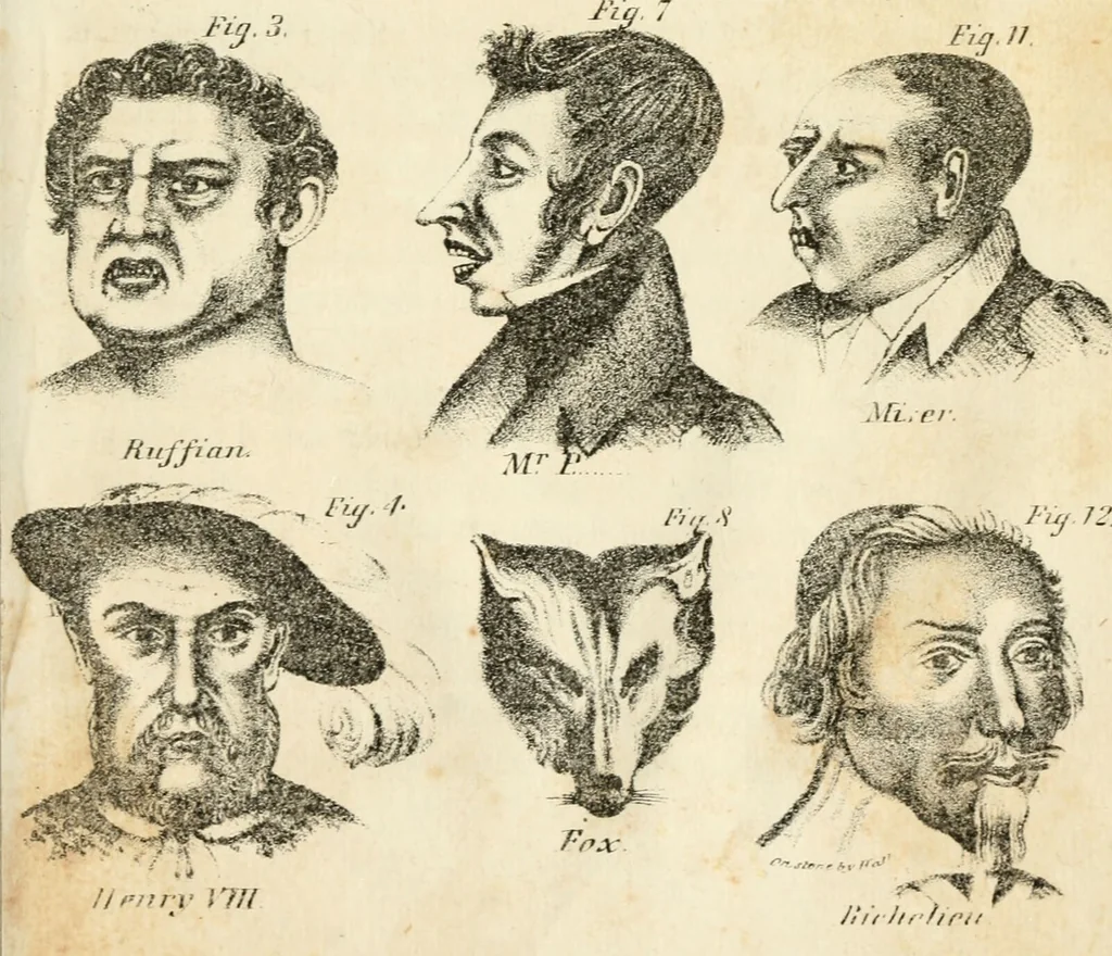 An illustration from A new system of phrenology / by J. Stanley Grimes., 1839, leaf 321