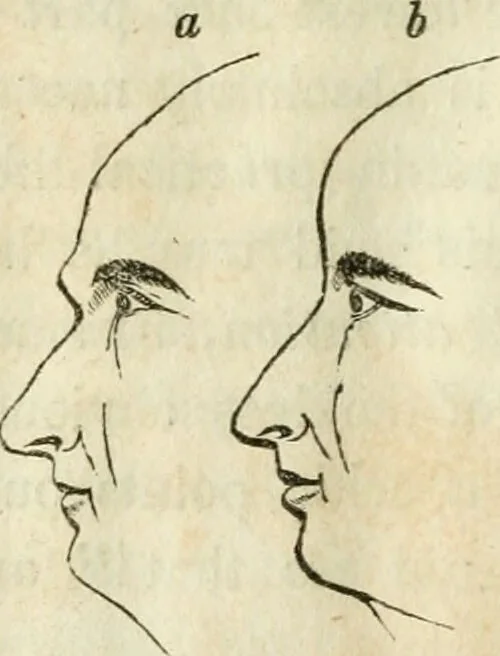 An illustration from A new system of phrenology / by J. Stanley Grimes., 1839, leaf 76