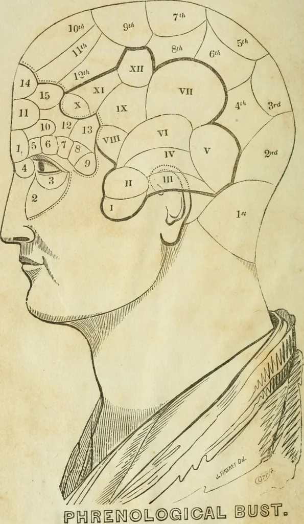 An illustration from A new system of phrenology / by J. Stanley Grimes., 1839, leaf 8