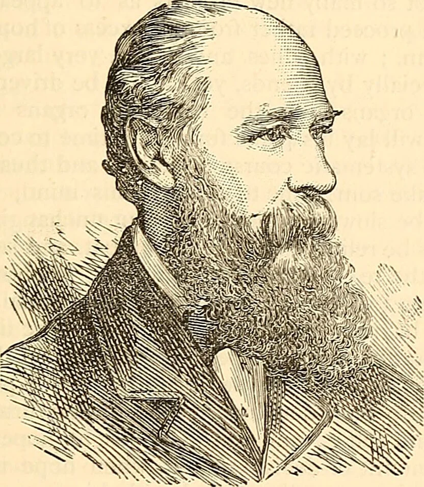 An illustration from Phrenology proved, illustrated, and applied : embracing an analysis of the primary mental powers in their various degrees of developments, the phenomena produced by their combined activity, and the location of the phrenological organs in the head : together with a view of the moral and anatomical objections to the science / by O. S. and L. N. Fowler., 1892, leaf 105