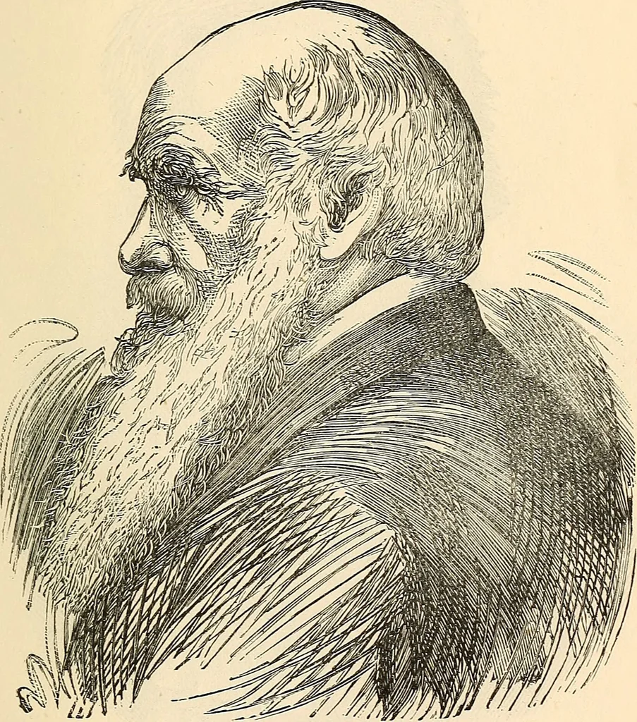 An illustration from Phrenology proved, illustrated, and applied : embracing an analysis of the primary mental powers in their various degrees of developments, the phenomena produced by their combined activity, and the location of the phrenological organs in the head : together with a view of the moral and anatomical objections to the science / by O. S. and L. N. Fowler., 1892, leaf 209