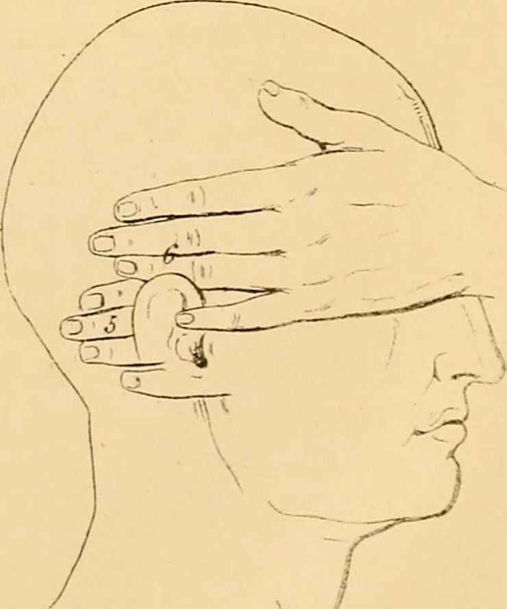 An illustration from A handbook of phrenology / by C. Donovan., 1870, leaf 147