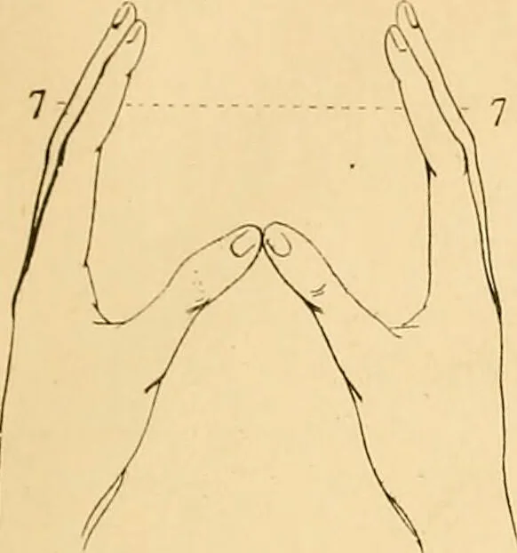 An illustration from A handbook of phrenology / by C. Donovan., 1870, leaf 15