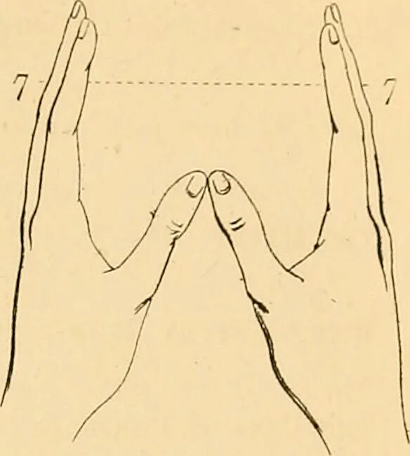 An illustration from A handbook of phrenology / by C. Donovan., 1870, leaf 15