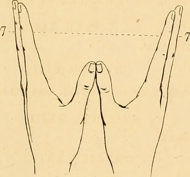An illustration from A handbook of phrenology / by C. Donovan., 1870, leaf 15