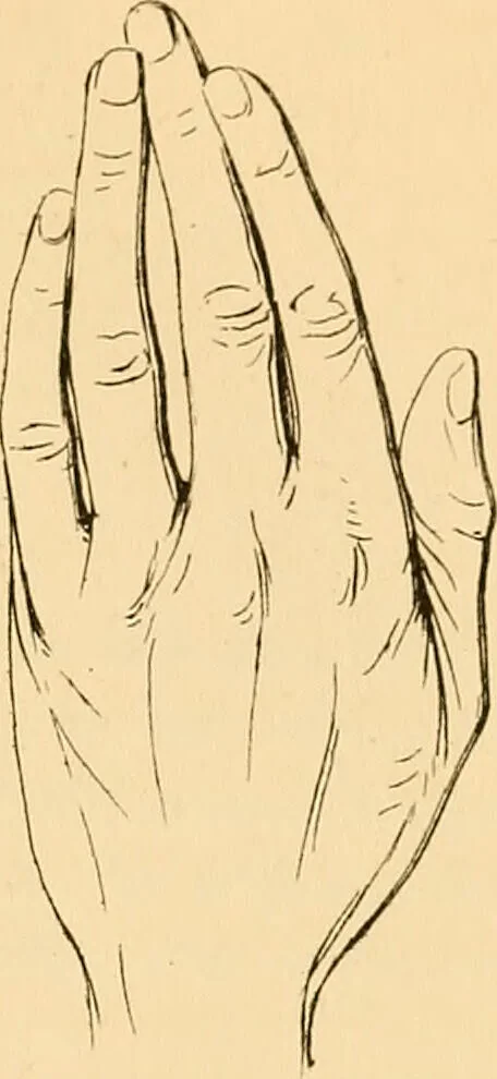 An illustration from A handbook of phrenology / by C. Donovan., 1870, leaf 199
