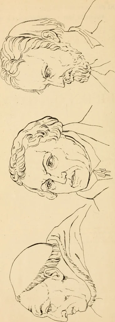 An illustration from A handbook of phrenology / by C. Donovan., 1870, leaf 6