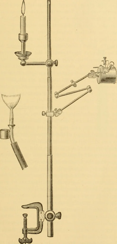 An illustration from Diseases of the ear : a text-book for practitioners and students of medicine / by Edward Bradford Dench., 1900, leaf 115