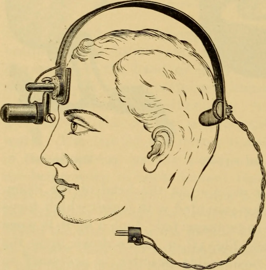 An illustration from Diseases of the ear : a text-book for practitioners and students of medicine / by Edward Bradford Dench., 1900, leaf 120