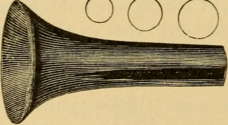 An illustration from Diseases of the ear : a text-book for practitioners and students of medicine / by Edward Bradford Dench., 1900, leaf 122