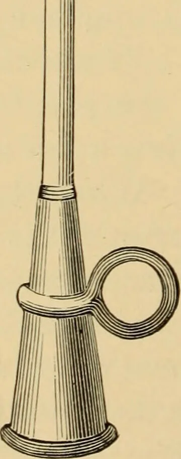 An illustration from Diseases of the ear : a text-book for practitioners and students of medicine / by Edward Bradford Dench., 1900, leaf 162