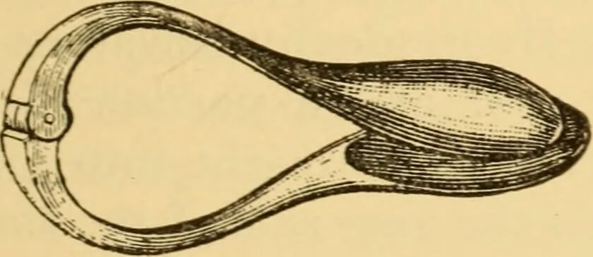 An illustration from Diseases of the ear : a text-book for practitioners and students of medicine / by Edward Bradford Dench., 1900, leaf 175