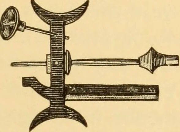 An illustration from Diseases of the ear : a text-book for practitioners and students of medicine / by Edward Bradford Dench., 1900, leaf 181