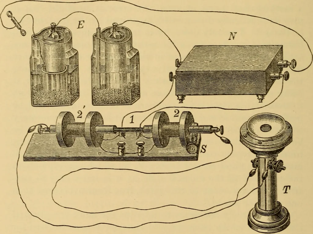 An illustration from Diseases of the ear : a text-book for practitioners and students of medicine / by Edward Bradford Dench., 1900, leaf 184