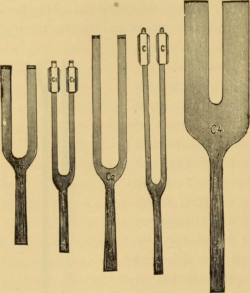 An illustration from Diseases of the ear : a text-book for practitioners and students of medicine / by Edward Bradford Dench., 1900, leaf 196