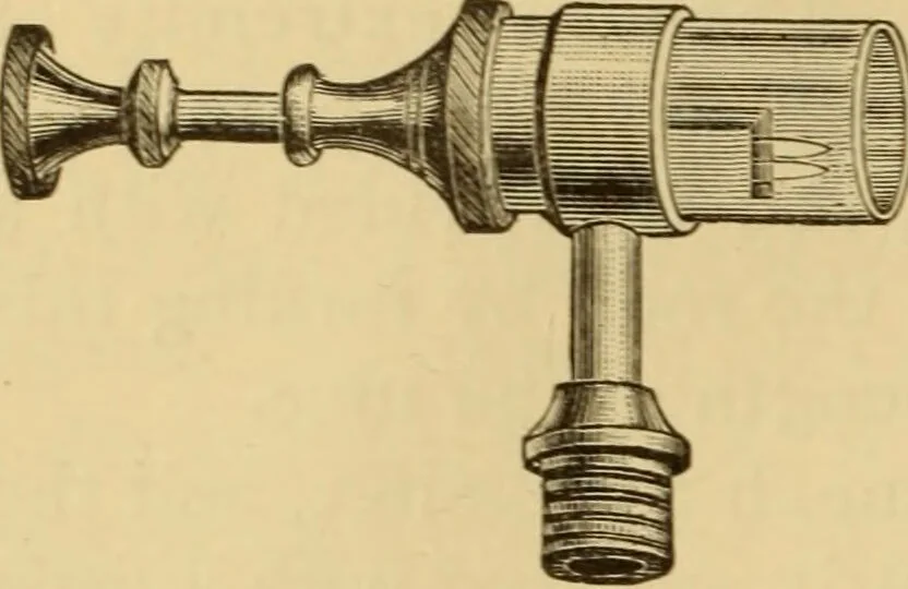 An illustration from Diseases of the ear : a text-book for practitioners and students of medicine / by Edward Bradford Dench., 1900, leaf 266