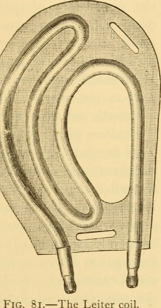 An illustration from Diseases of the ear : a text-book for practitioners and students of medicine / by Edward Bradford Dench., 1900, leaf 267