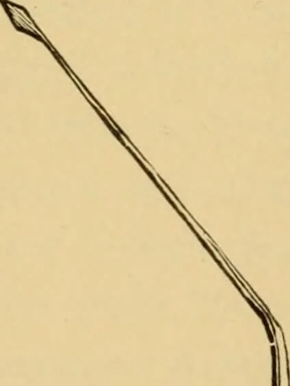 An illustration from Diseases of the ear : a text-book for practitioners and students of medicine / by Edward Bradford Dench., 1900, leaf 516