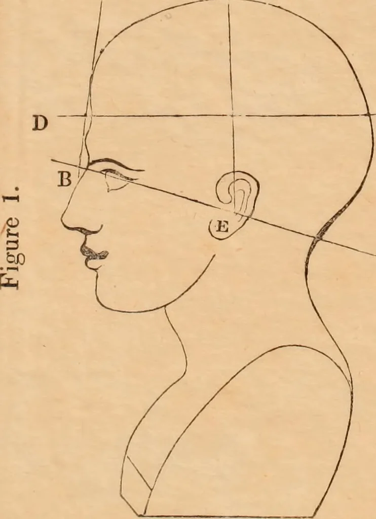 An illustration from Lectures on phrenology : delivered before the Young Men's Association for Mutual Improvement of the City of Albany / by Amos Dean., 1834, leaf 6