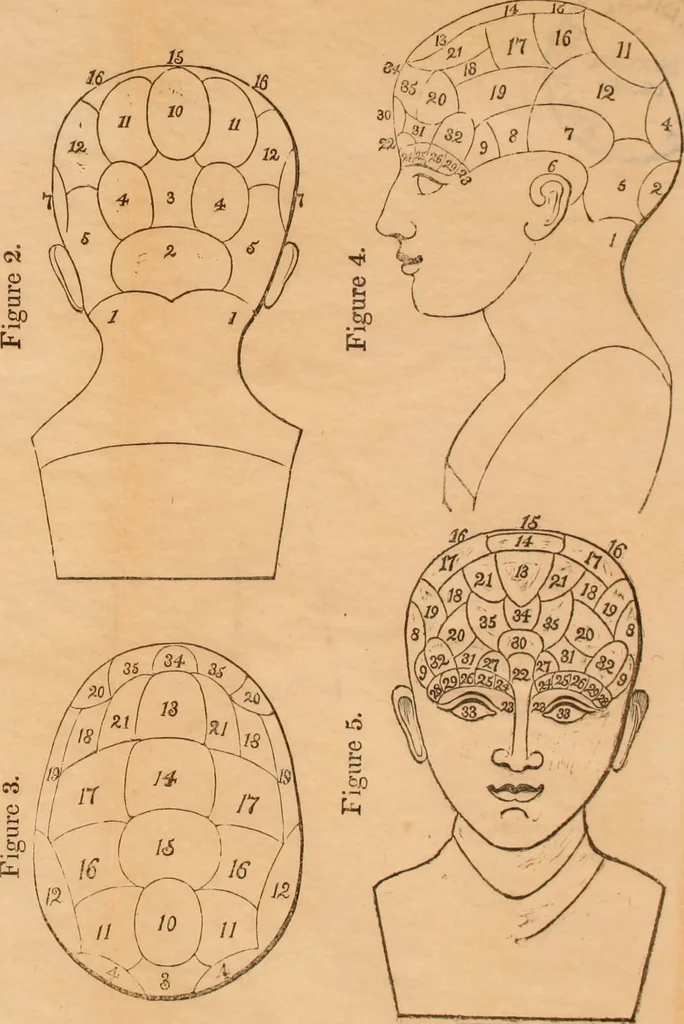 An illustration from Lectures on phrenology : delivered before the Young Men's Association for Mutual Improvement of the City of Albany / by Amos Dean., 1834, leaf 6