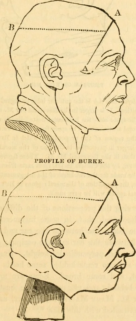 An illustration from A system of phrenology / by George Combe., 1830, leaf 109