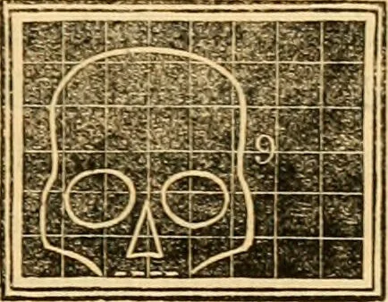 An illustration from A system of phrenology / by George Combe., 1830, leaf 243