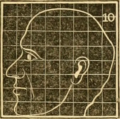 An illustration from A system of phrenology / by George Combe., 1830, leaf 255
