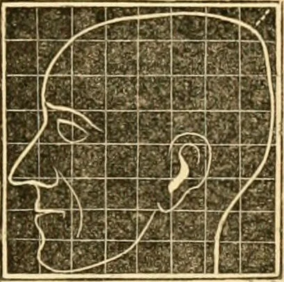 An illustration from A system of phrenology / by George Combe., 1830, leaf 255