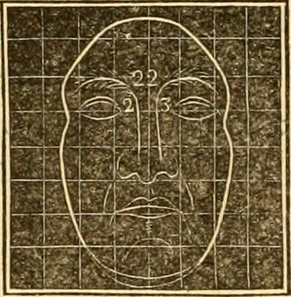 An illustration from A system of phrenology / by George Combe., 1830, leaf 404