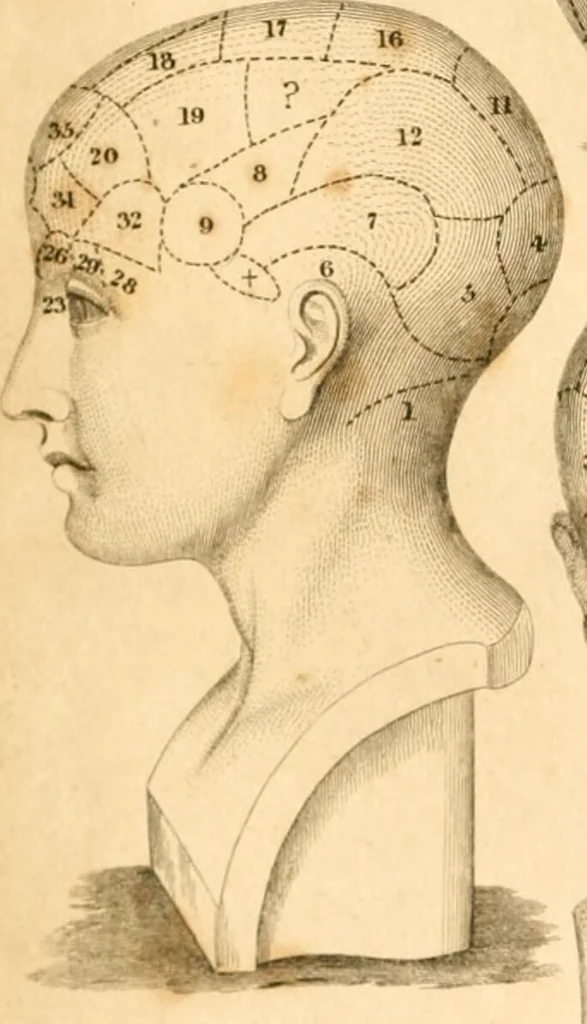 An illustration from A system of phrenology / by George Combe., 1830, leaf 6