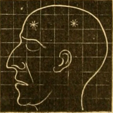 An illustration from A system of phrenology / by George Combe., 1830, leaf 608