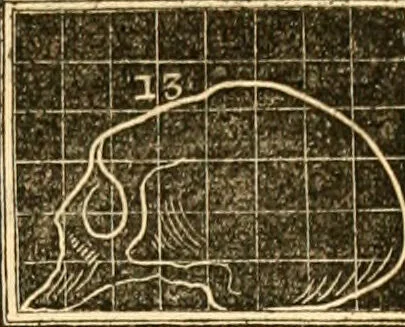 An illustration from A system of phrenology / by George Combe., 1830, leaf 631