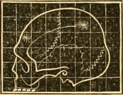 An illustration from A system of phrenology / by George Combe., 1830, leaf 635