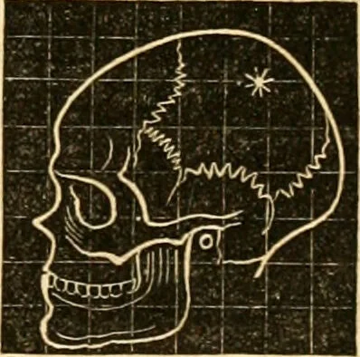 An illustration from A system of phrenology / by George Combe., 1830, leaf 639