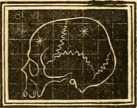 An illustration from A system of phrenology / by George Combe., 1830, leaf 641