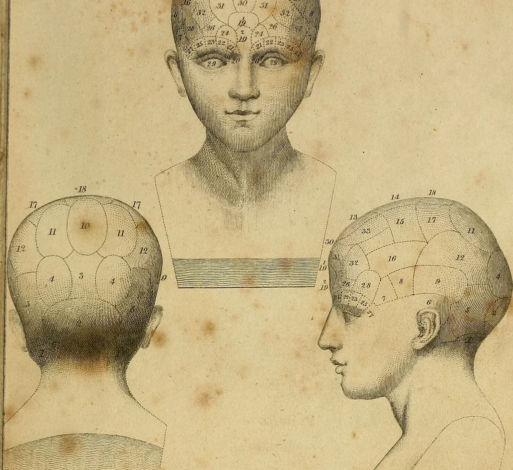An illustration from A system of phrenology., 1825, leaf 11
