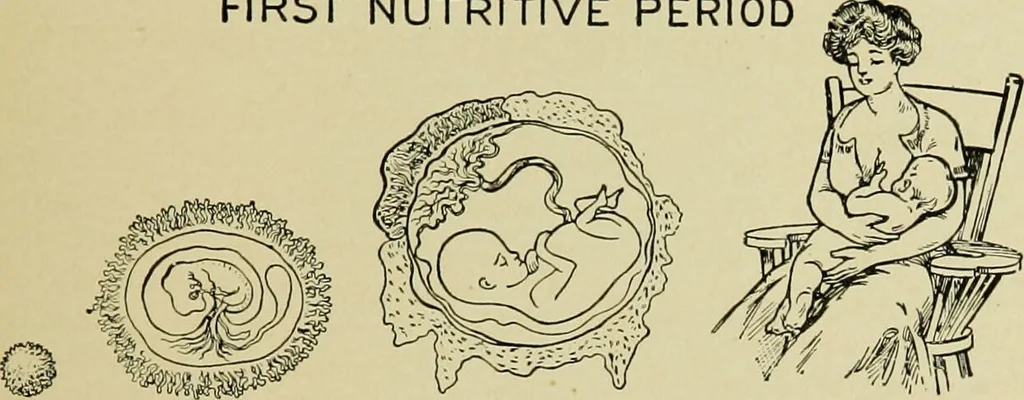 An illustration from Diseases of infants and children / by Henry Dwight Chapin and Godfrey Roger Pisek ; with 181 ill. and eleven colored plates., 1911, leaf 141