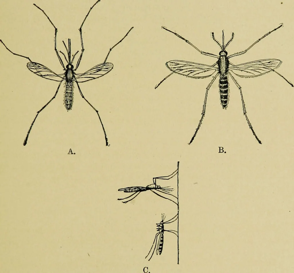 An illustration from Diseases of infants and children / by Henry Dwight Chapin and Godfrey Roger Pisek ; with 181 ill. and eleven colored plates., 1911, leaf 377