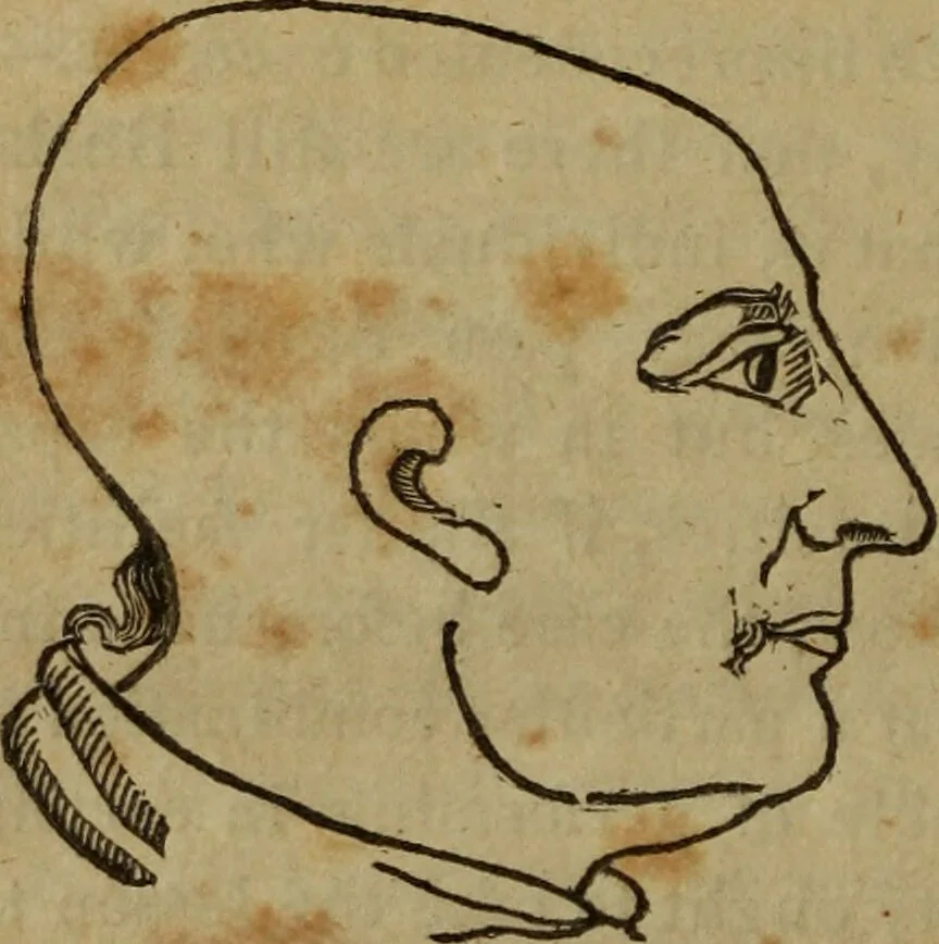 An illustration from Illustrations of phrenology : being a selection of articles from the Edinburg phrenological journal, and the transactions of the Edinburg Phrenological Society. With twenty-six wood cuts / Ed. by George H. Calvert. With an introduction by the editor., 1832, leaf 108
