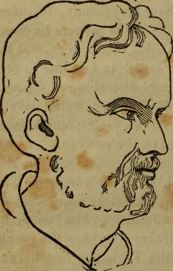An illustration from Illustrations of phrenology : being a selection of articles from the Edinburg phrenological journal, and the transactions of the Edinburg Phrenological Society. With twenty-six wood cuts / Ed. by George H. Calvert. With an introduction by the editor., 1832, leaf 110