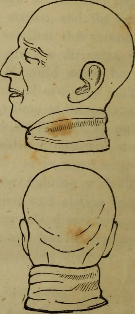 An illustration from Illustrations of phrenology : being a selection of articles from the Edinburg phrenological journal, and the transactions of the Edinburg Phrenological Society. With twenty-six wood cuts / Ed. by George H. Calvert. With an introduction by the editor., 1832, leaf 150